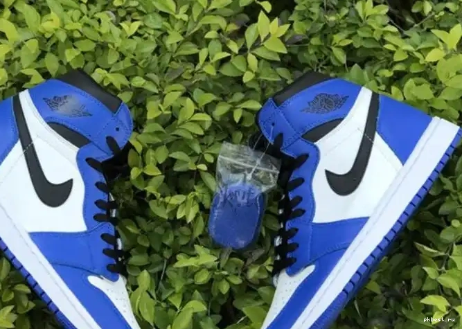 OG “Game Air Nike 1 High Royal” Jordan Pairs 0316